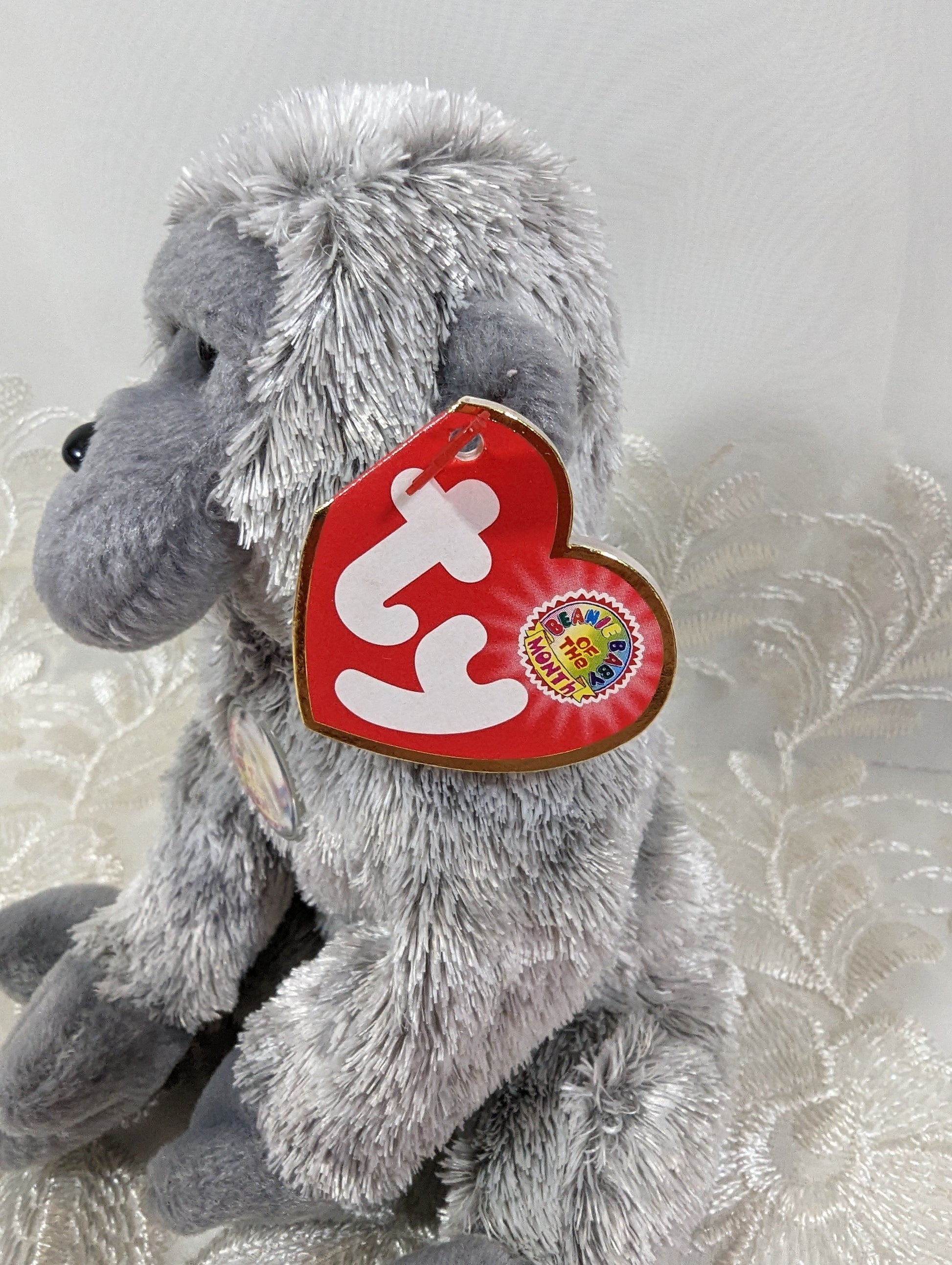 Ty Beanie Baby of the Month - Virunga The Gorilla (6in) June 2003 - Vintage Beanies Canada