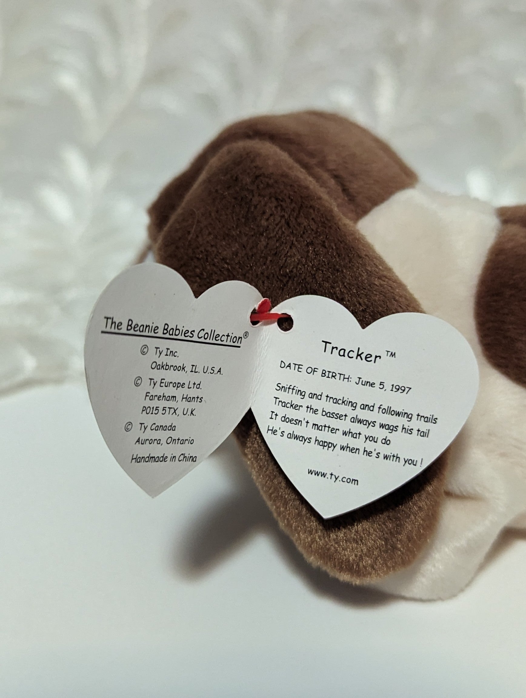Ty Beanie Baby - Tracker The Basset Hound Dog (7in) - Vintage Beanies Canada
