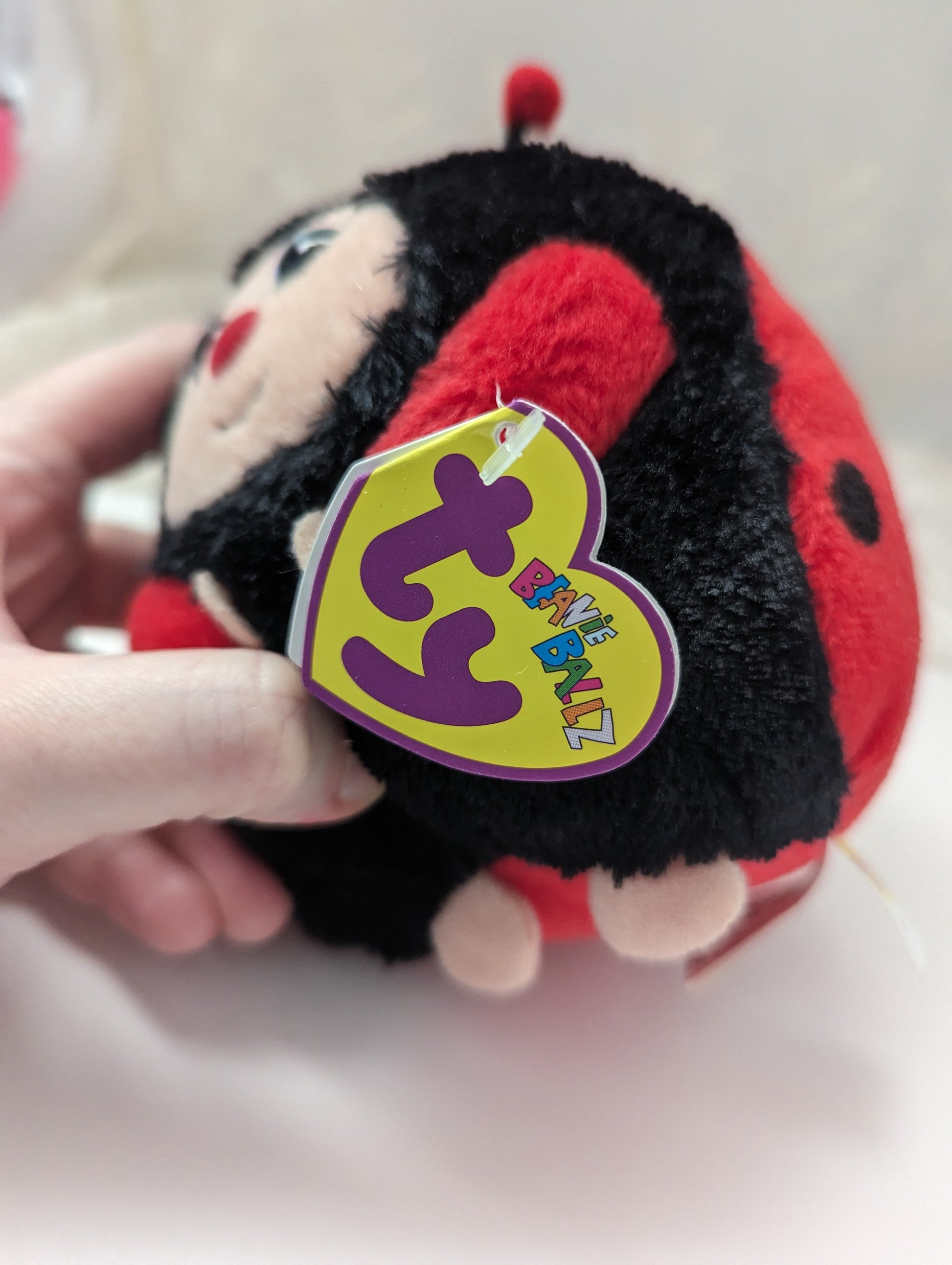 Ty Beanie Ballz - Dots The Ladybug (5.5in) - Vintage Beanies Canada