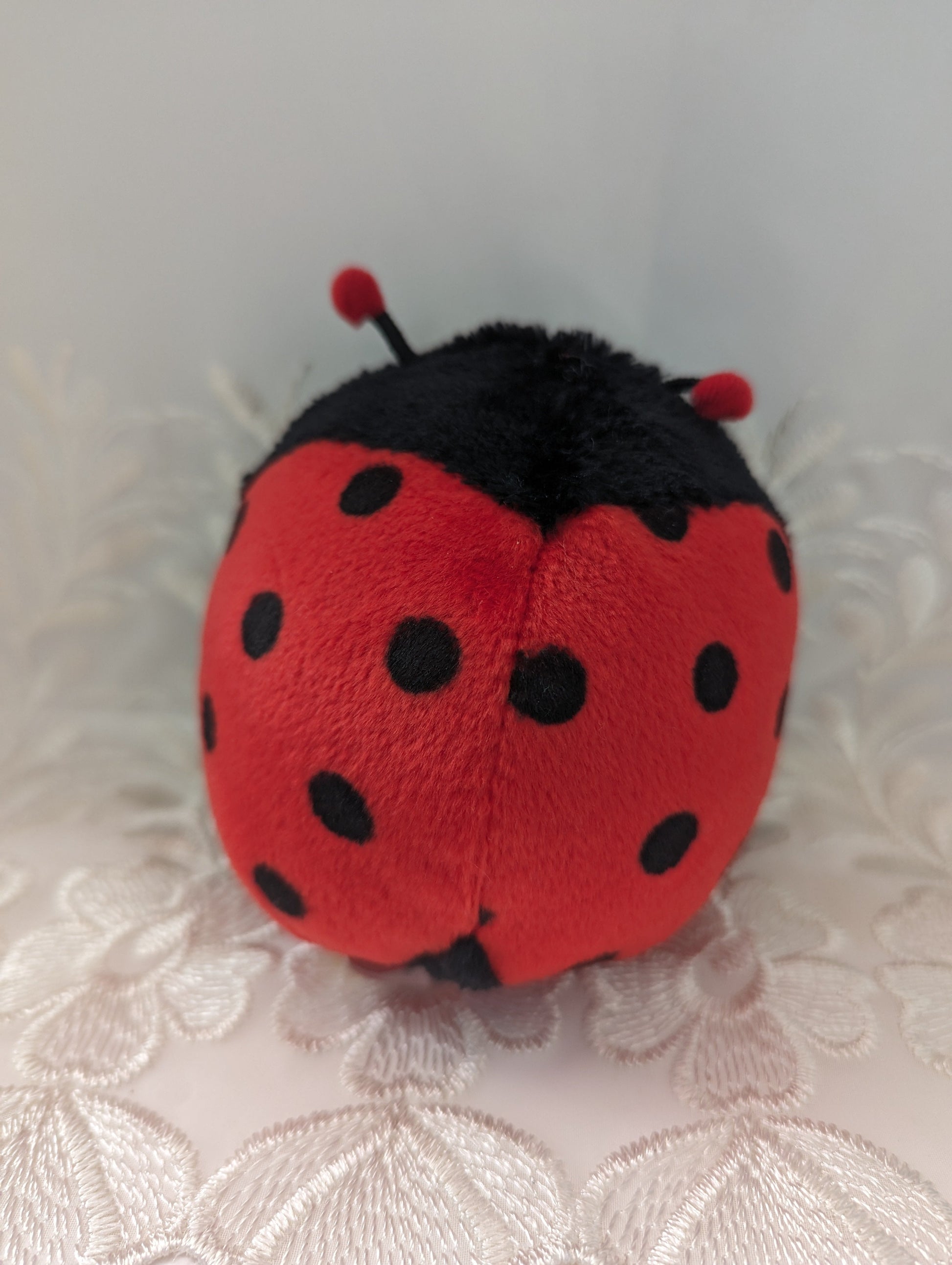 Ty Beanie Ballz - Dots The Ladybug (5.5in) - Vintage Beanies Canada