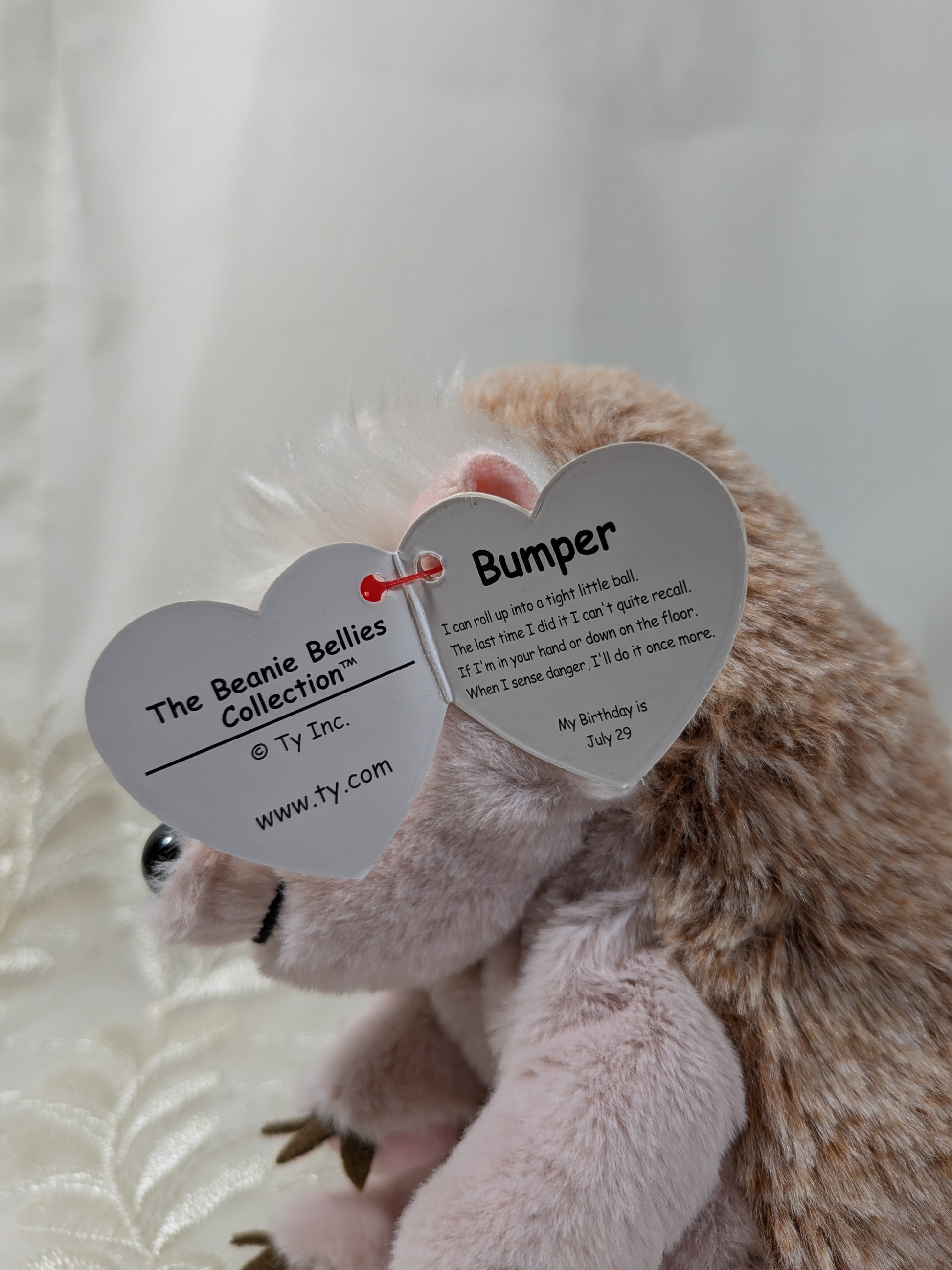 Ty Beanie Bellies - Bumper The Hedgehog (6in) - Vintage Beanies Canada