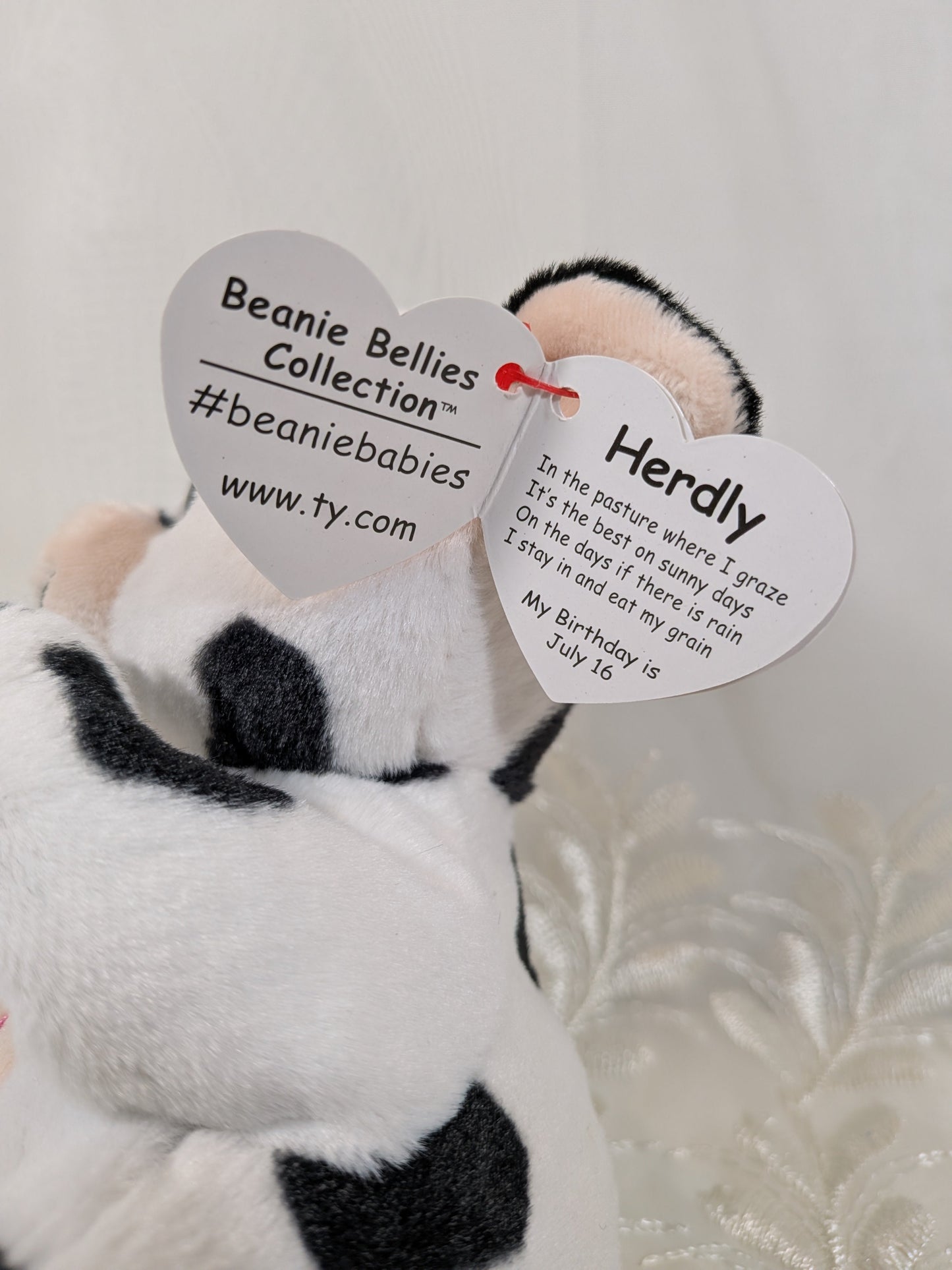 Ty Beanie Bellies - Herdly The Cow (8in) *See Photos And Description* - Vintage Beanies Canada
