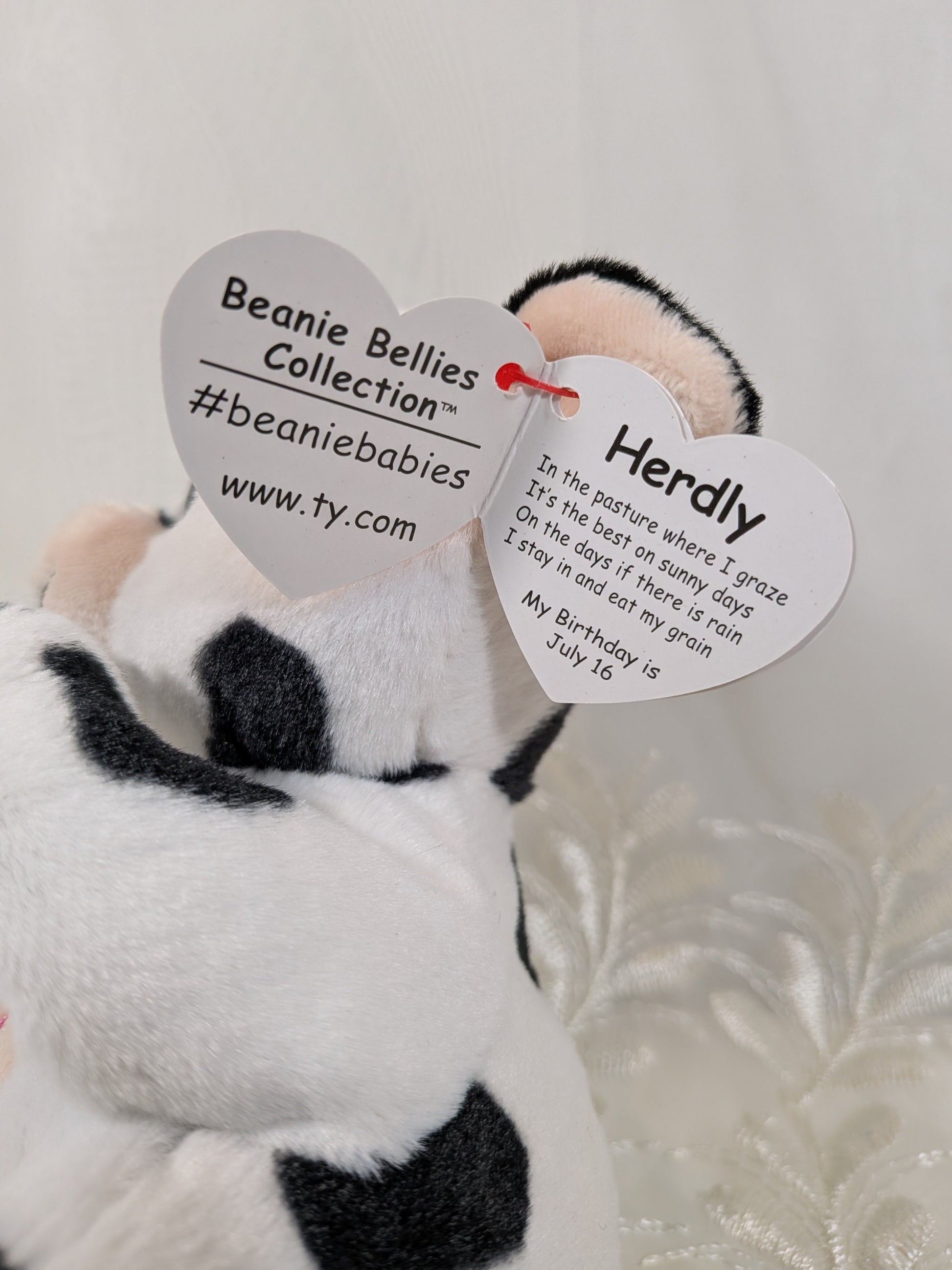 Ty Beanie Bellies - Herdly The Cow (8in) *See Photos And Description* - Vintage Beanies Canada