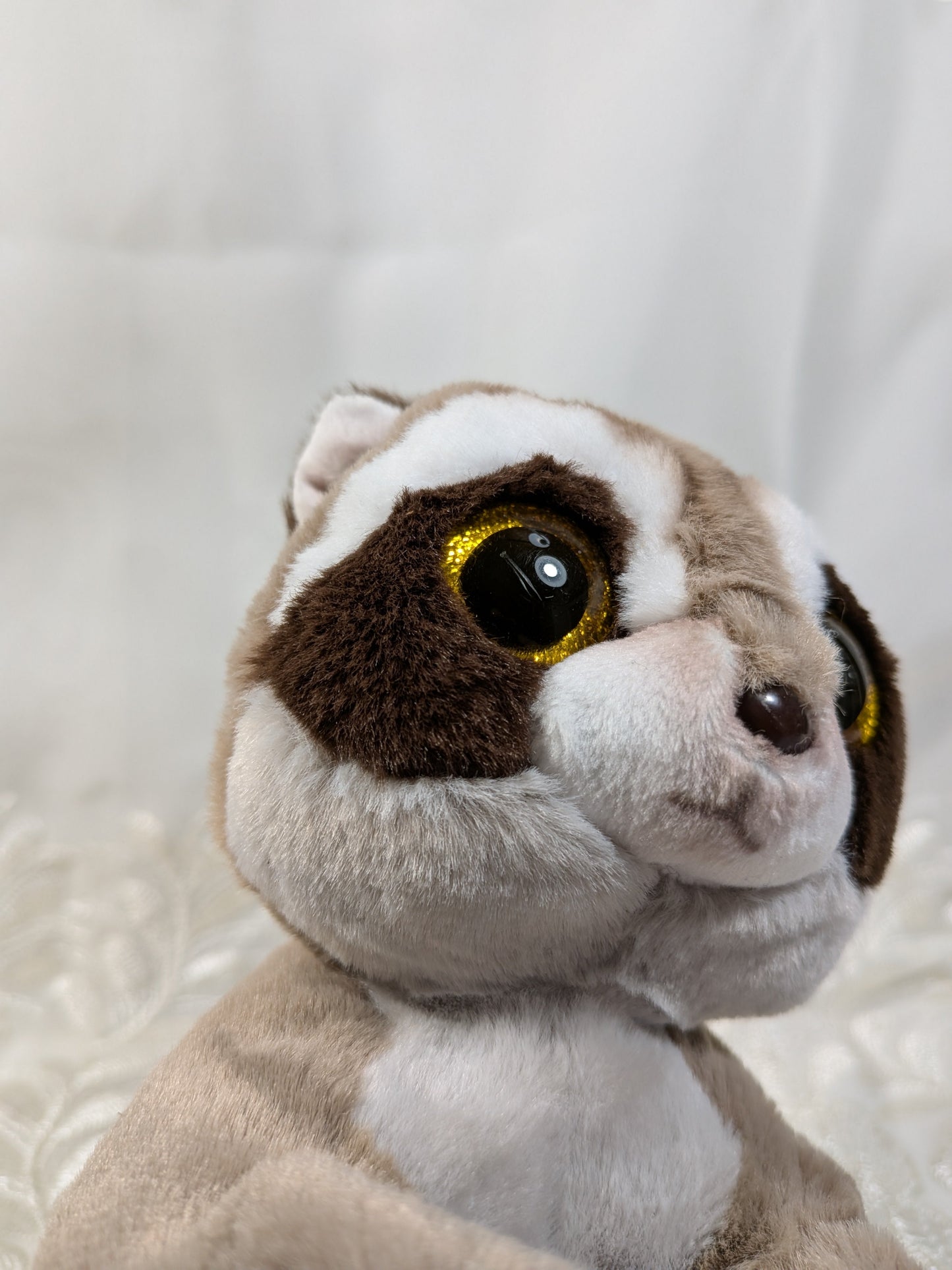 Ty Beanie Bellies - Petey The Raccoon (7in) No Tag - Vintage Beanies Canada