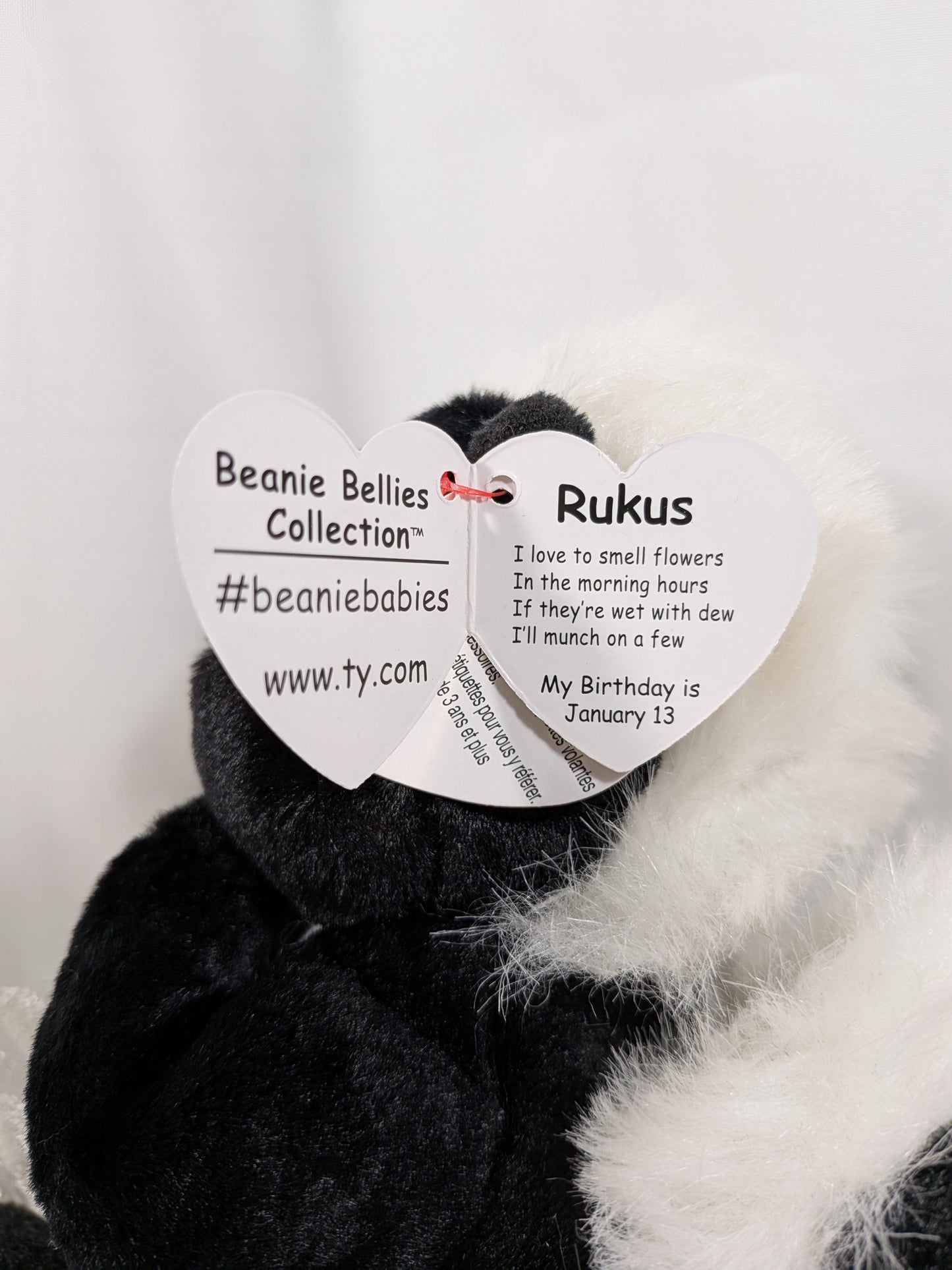 Ty Beanie Bellies - Rukus The Skunk (8in) - Vintage Beanies Canada