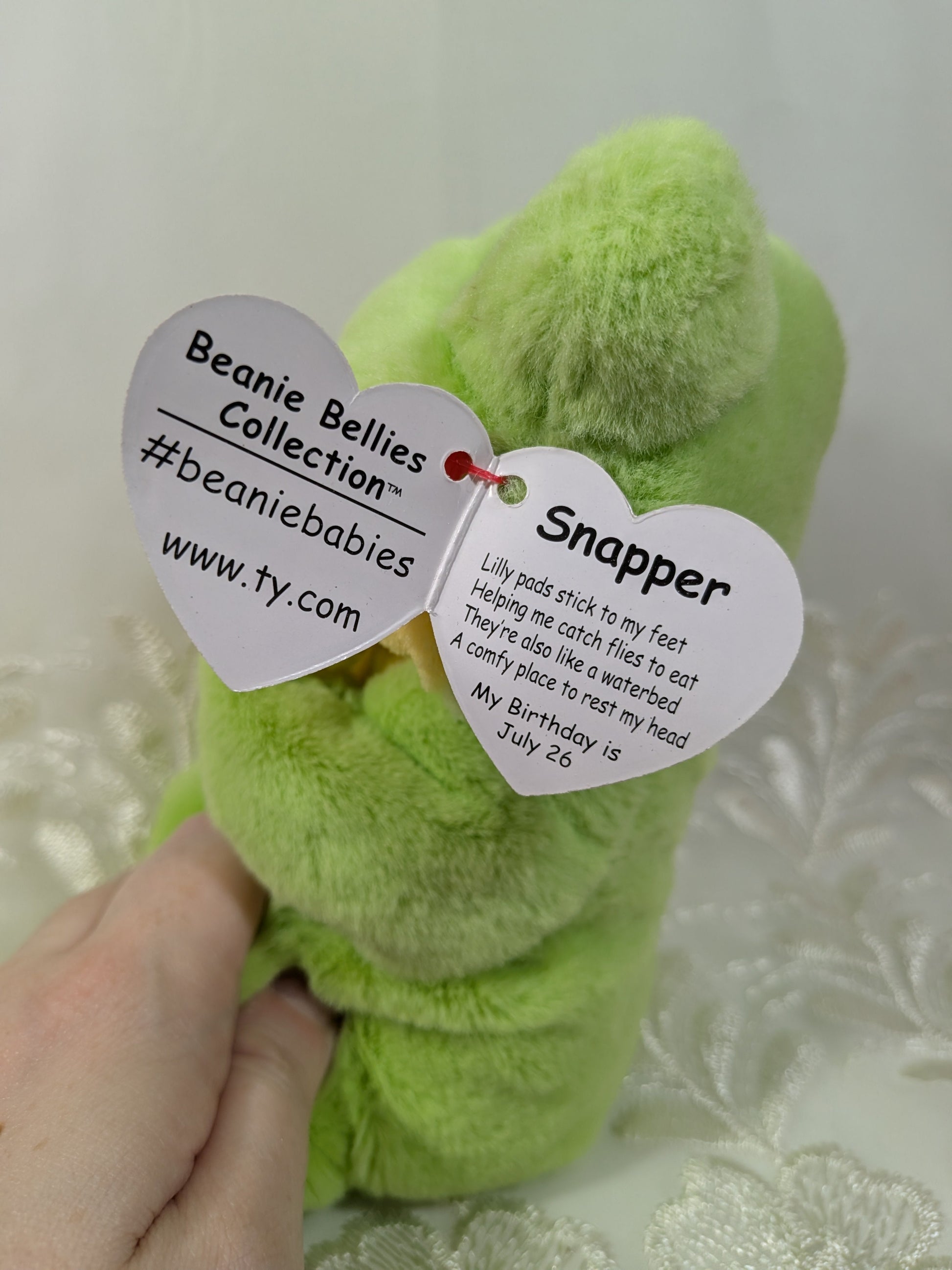 Ty Beanie Bellies - Snapper the Frog (8in) - Vintage Beanies Canada