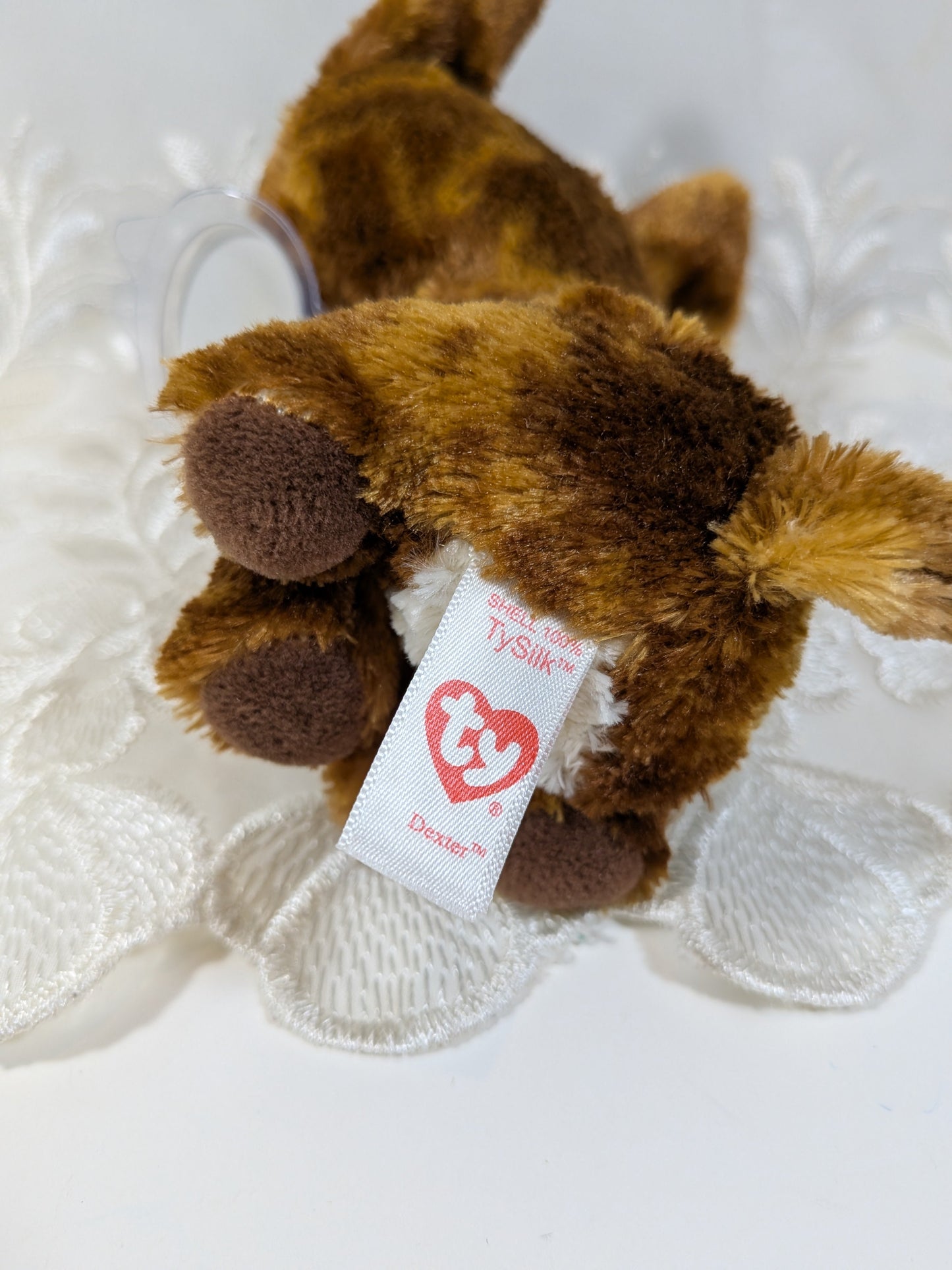 Ty Beanie Boo - Dexter the dog (6in) Non - mint Tag scuffed eyes - Vintage Beanies Canada