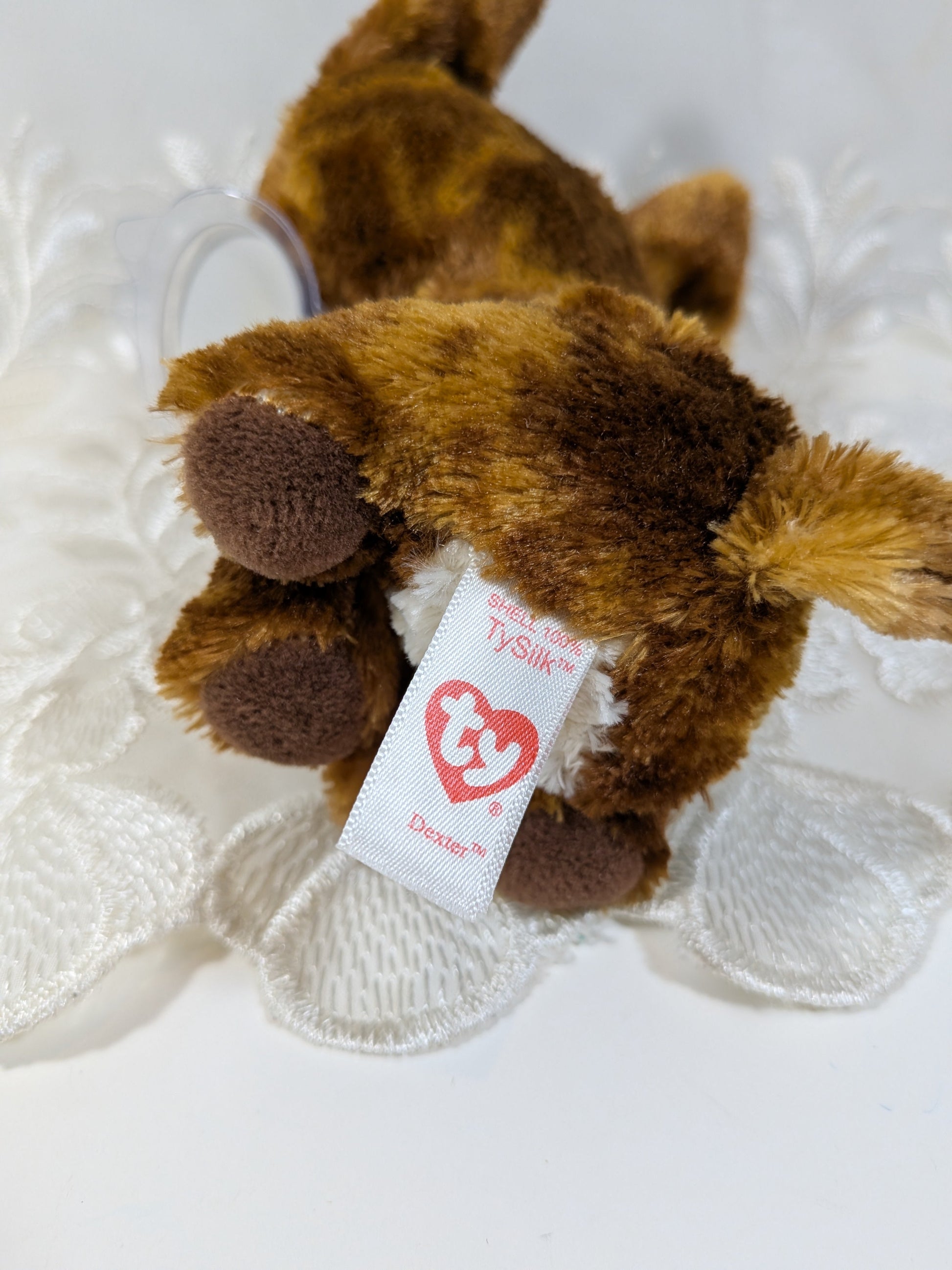 Ty Beanie Boo - Dexter the dog (6in) Non - mint Tag scuffed eyes - Vintage Beanies Canada