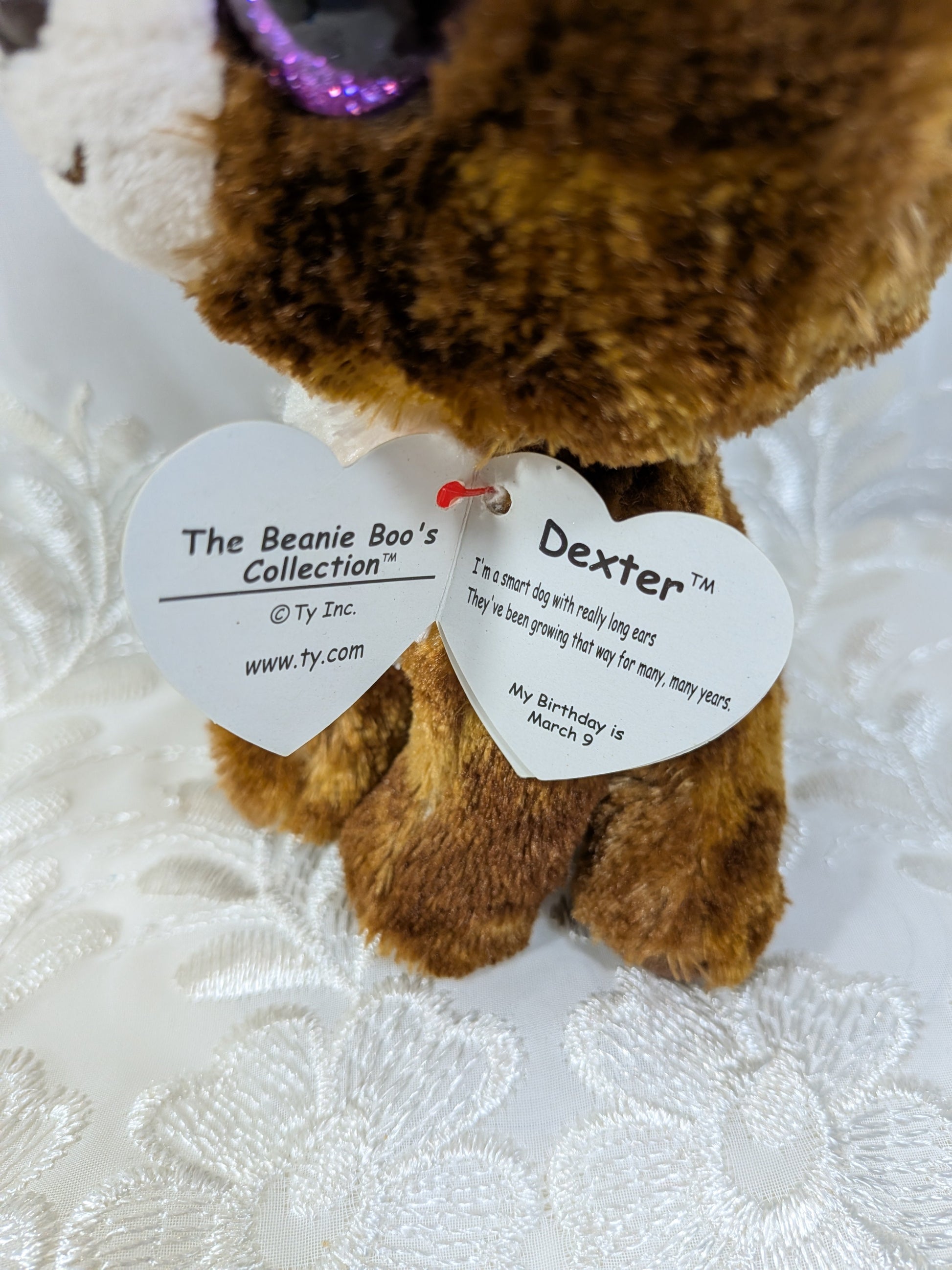 Ty Beanie Boo - Dexter the dog (6in) Non - mint Tag scuffed eyes - Vintage Beanies Canada