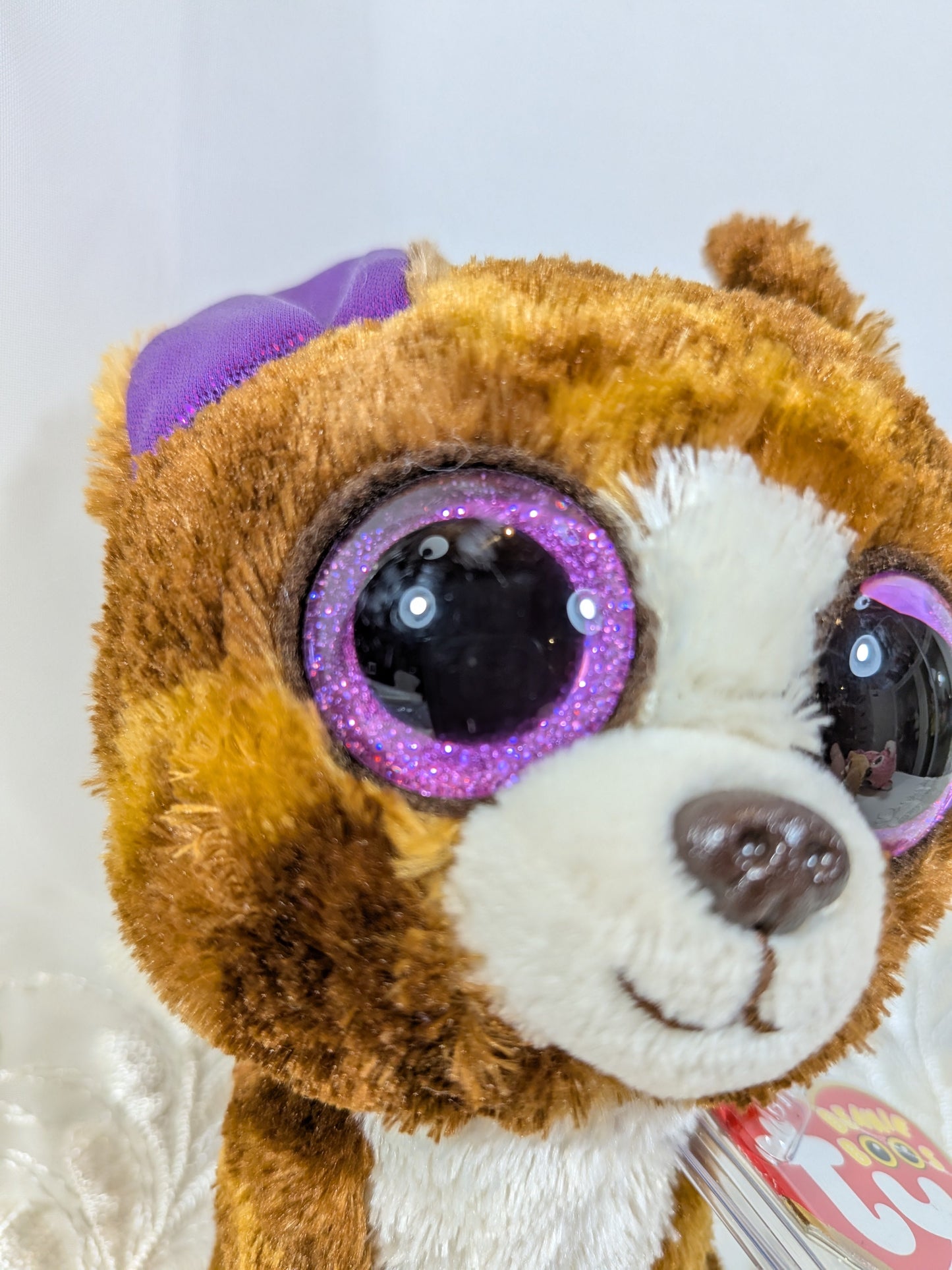 Ty Beanie Boo - Dexter the dog (6in) Non - mint Tag scuffed eyes - Vintage Beanies Canada