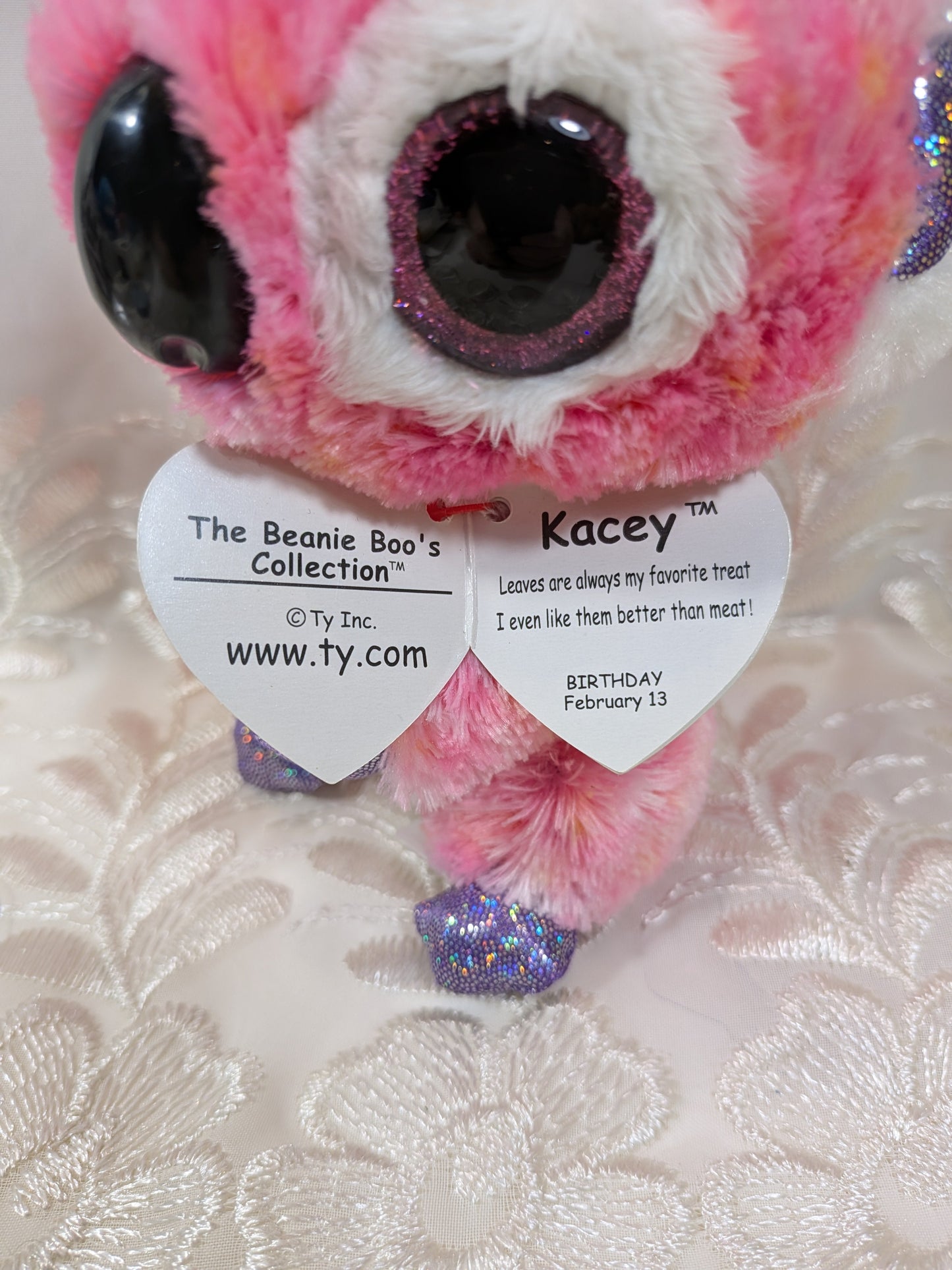 Ty Beanie Boo - Kacey The Koala (6in) - Vintage Beanies Canada