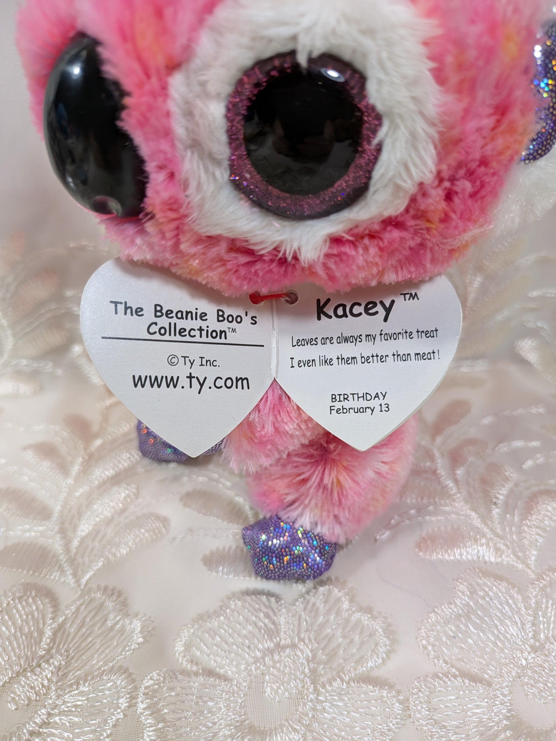 Ty Beanie Boo - Kacey The Koala (6in) - Vintage Beanies Canada