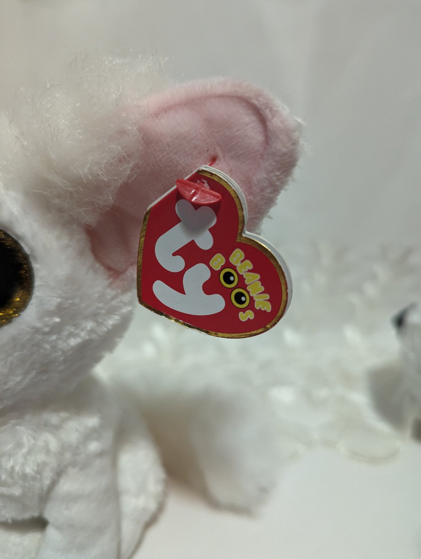Ty Beanie Boo - Phoenix The White Fox (6in) Please see description - Vintage Beanies Canada