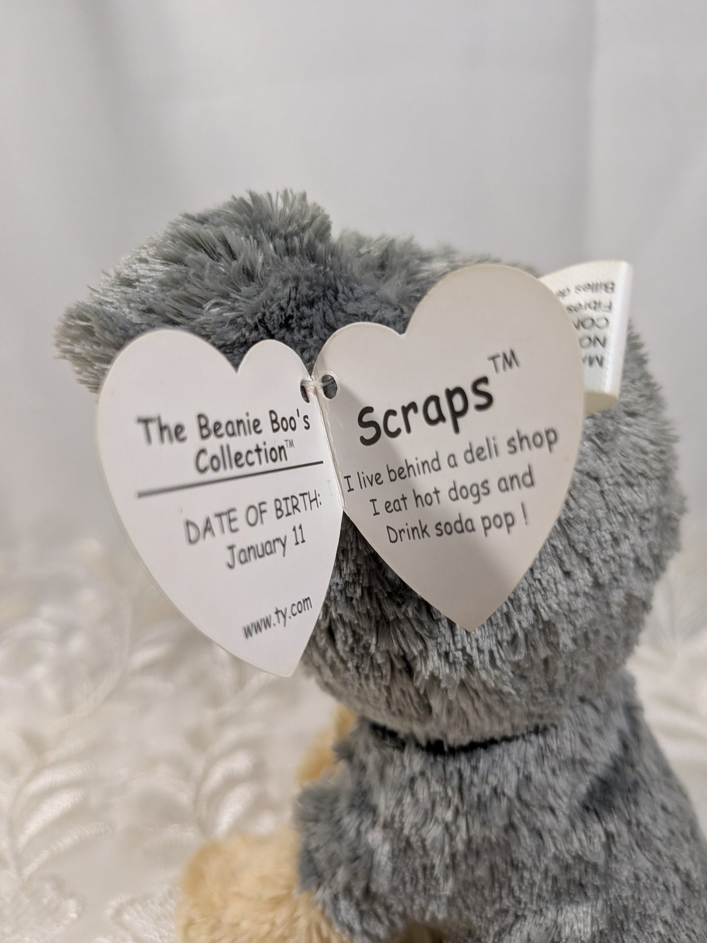 Ty Beanie Boo - Scraps The Schnauzer Dog (6in) First Generation, Purple Tag - Vintage Beanies Canada