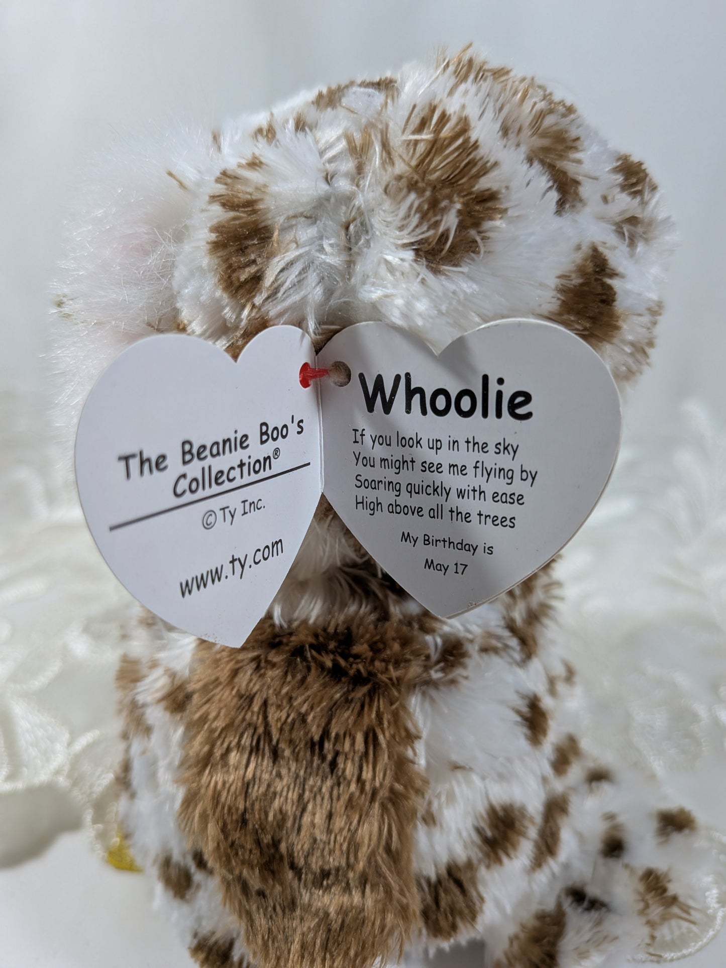 Ty Beanie Boo - Whoolie The Owl (6in) - Vintage Beanies Canada