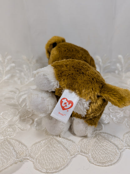 Ty Beanie Boos - Brutus The Dog (6in) No Tag - Vintage Beanies Canada
