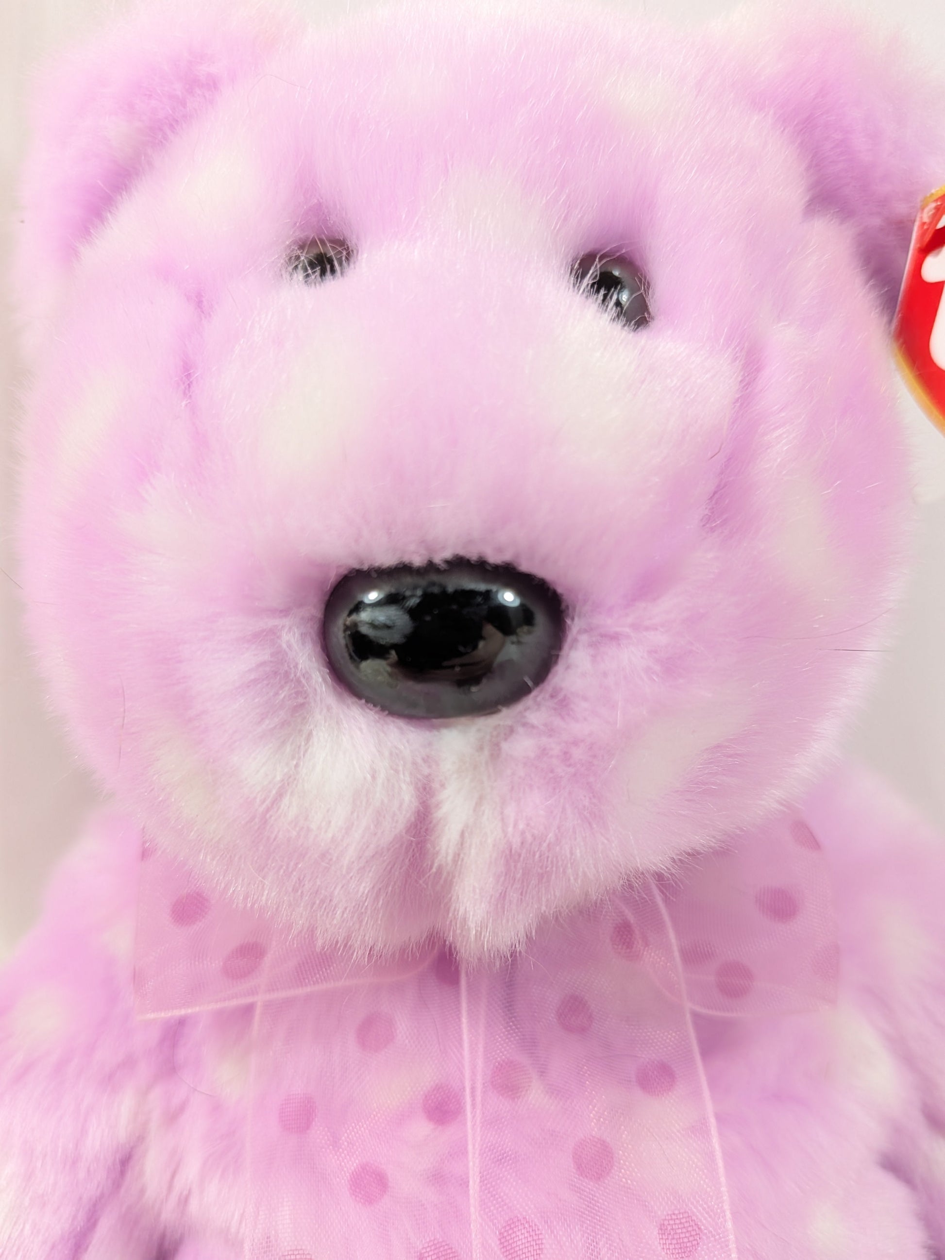 Ty Beanie Buddy - Bravo The Pink Bear (14in) - Vintage Beanies Canada