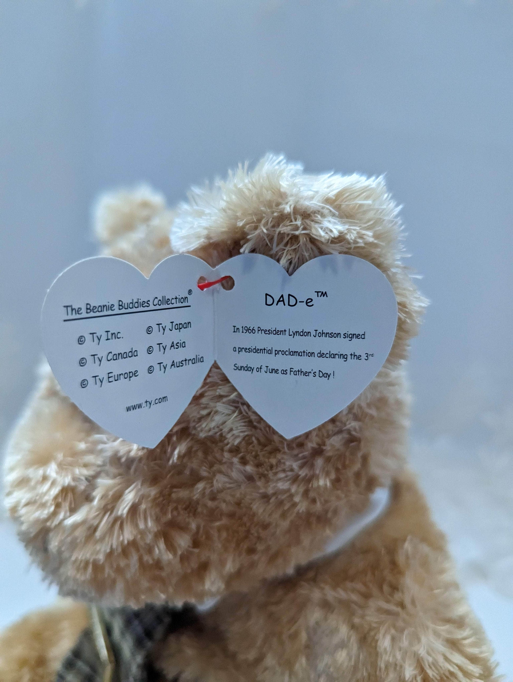 Ty Beanie Buddy - DAD-e The Father's Day Bear (13in) - Vintage Beanies Canada