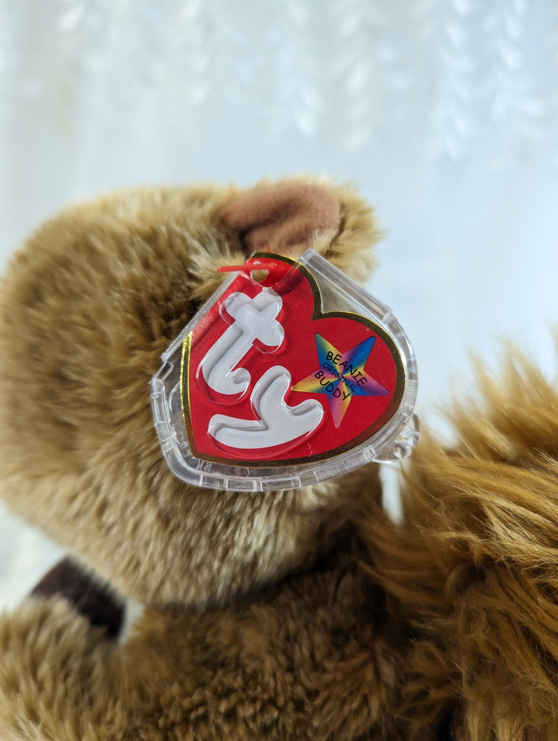 Ty Beanie Buddy - Nutty the Squirrel (10 in) - Vintage Beanies Canada
