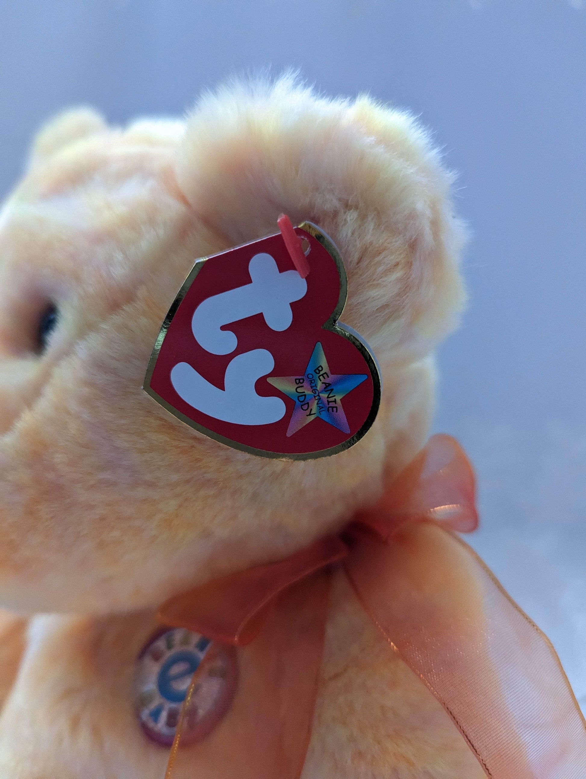 Ty Beanie Buddy - Sunny The Bear (13in) - Vintage Beanies Canada