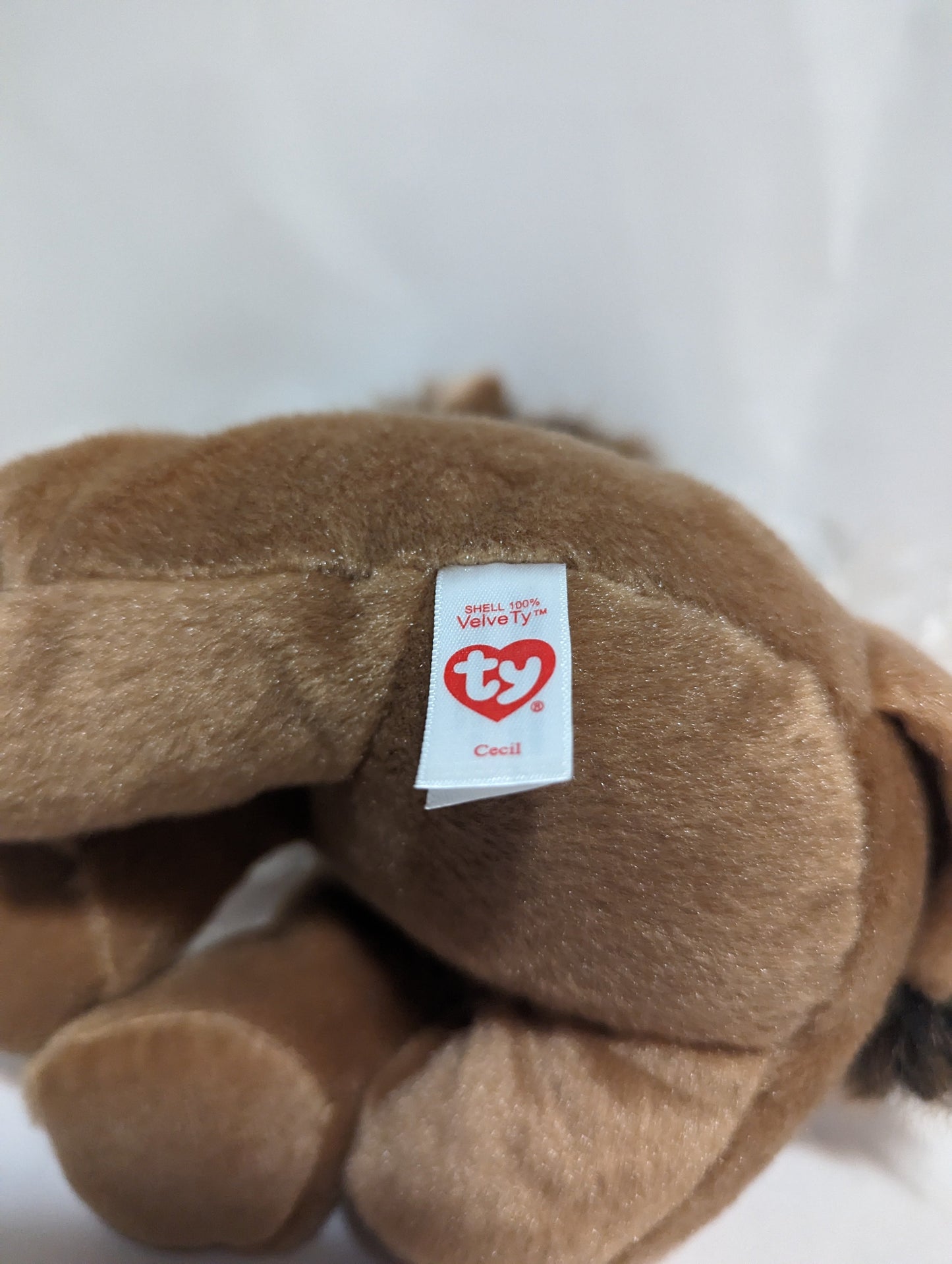 Ty Classic Collection - Cecil The Lion (10 in) No Hang Tag - Vintage Beanies Canada