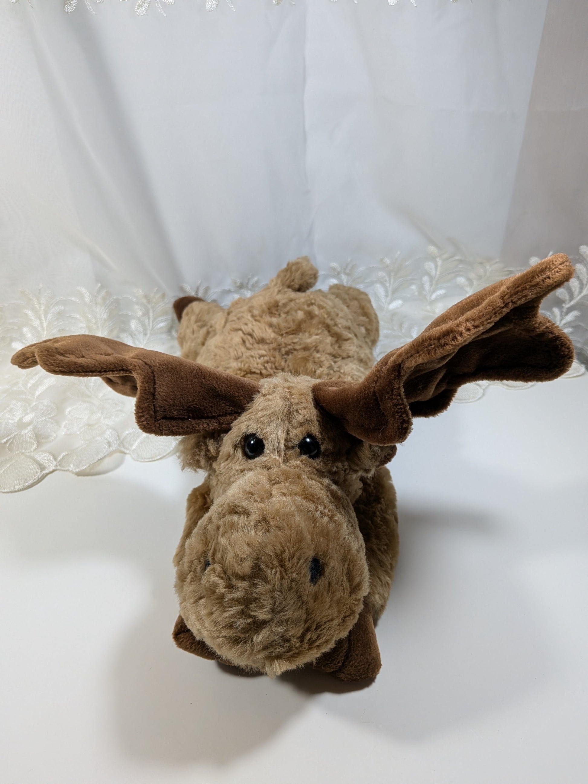 TY Classic Collection - Mortimer The Moose (16in) No Hang Tag - Vintage Beanies Canada