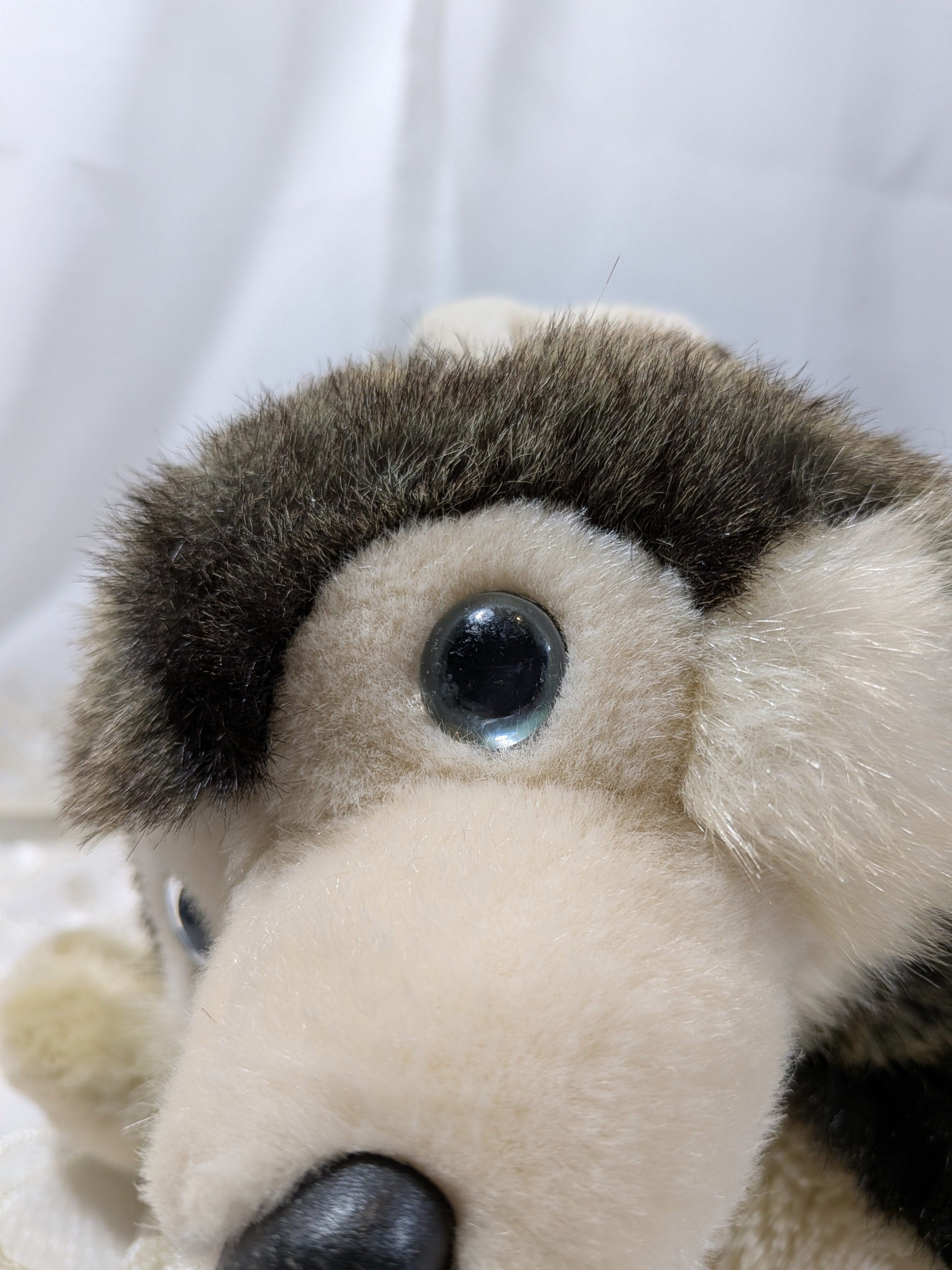 Ty Classic Collection - Musher The Husky Dog (12in) No Hang Tag - Vintage Beanies Canada