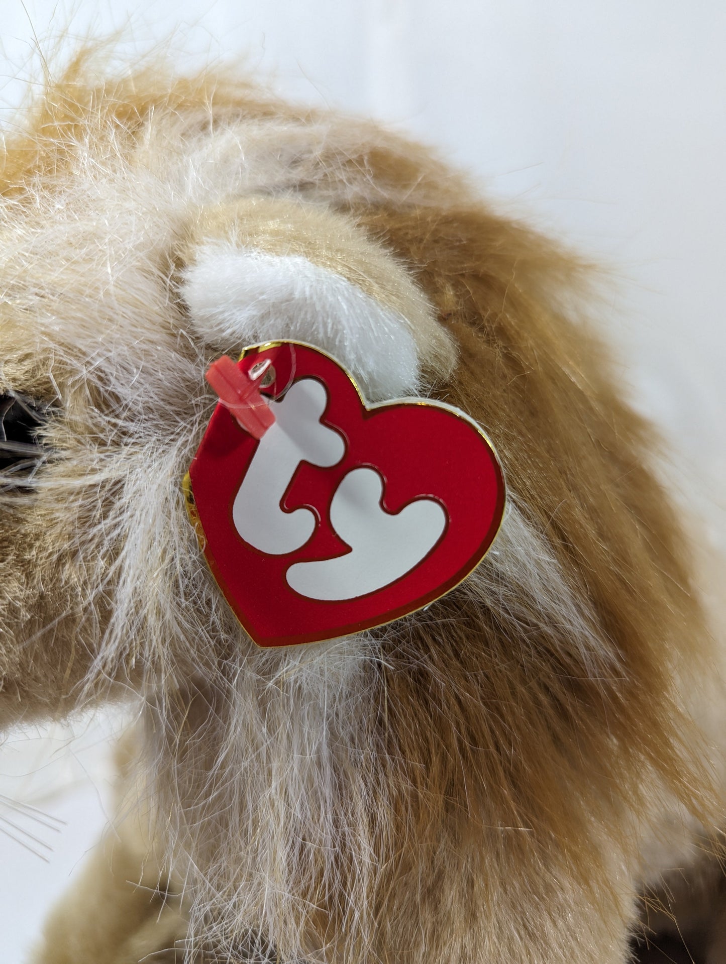 Ty Classic Collection - Sahara The Lion (13 in) Near Mint Tag - Vintage Beanies Canada