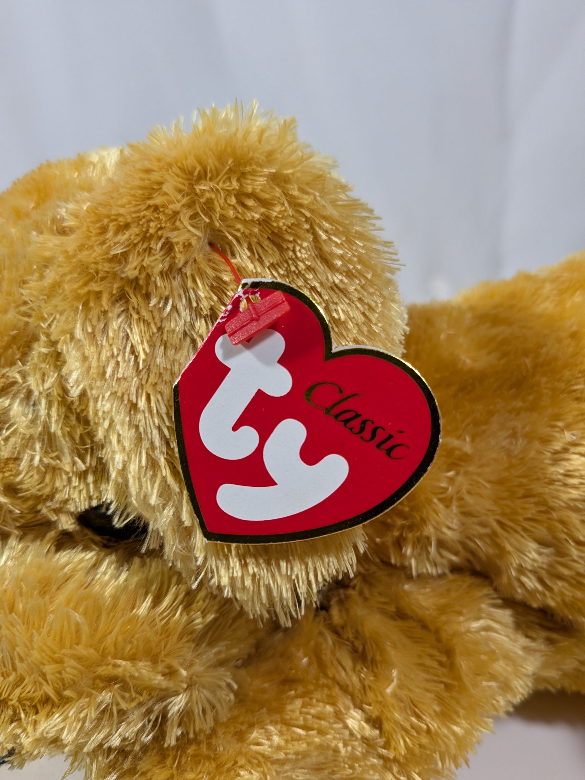 Ty Classic Collection - Skippy the Golden Retriever (12in) Near mint Tag - Vintage Beanies Canada