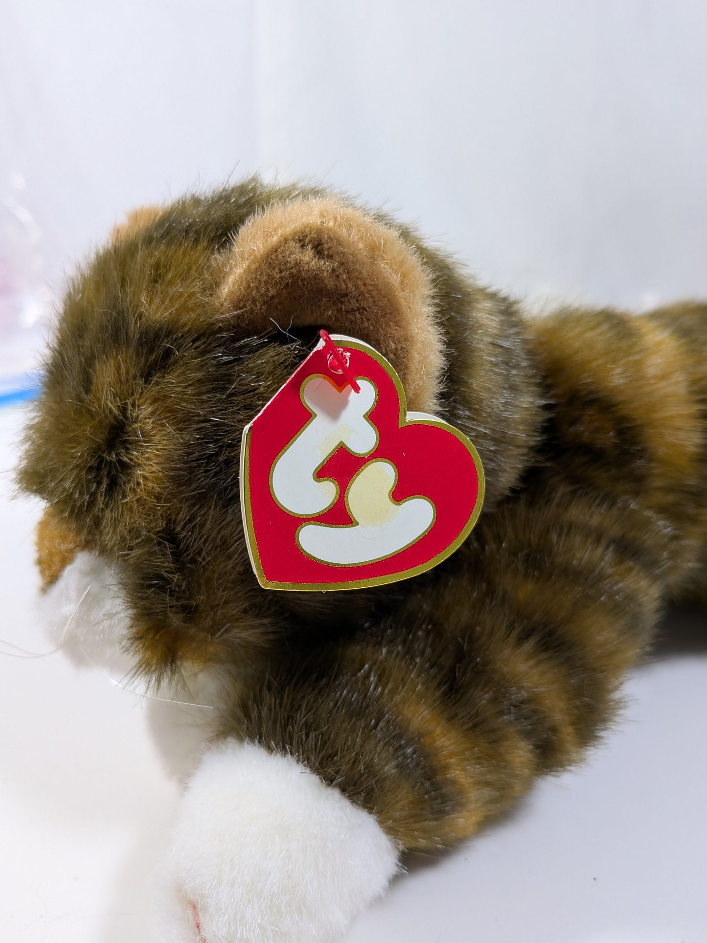 Ty Classic Collection - Spice The Cat (12in) *Rare* Non - mint Hang Tag - Vintage Beanies Canada