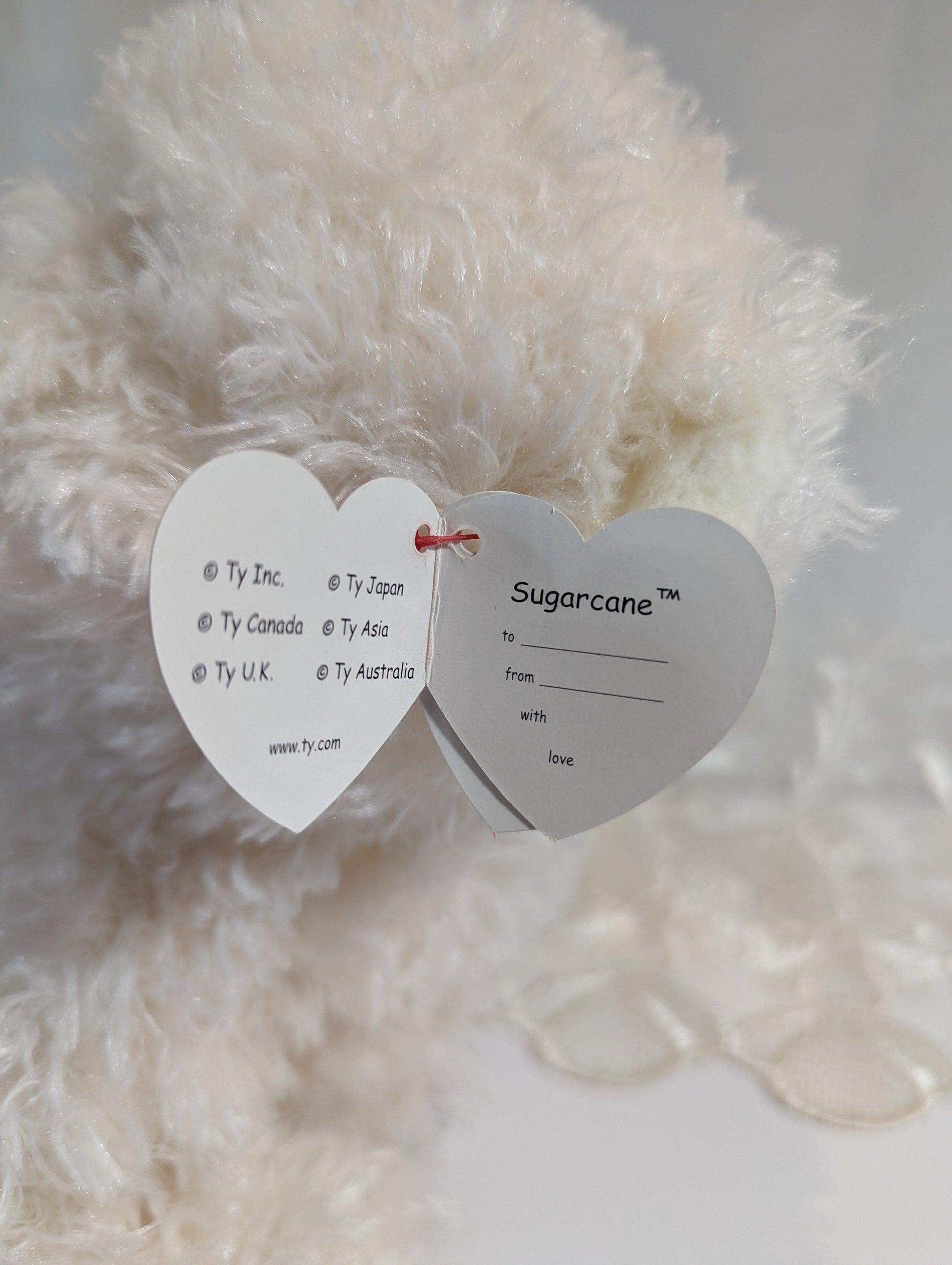 Ty Classic Collection - Sugarcane The Bear (12in) - Vintage Beanies Canada