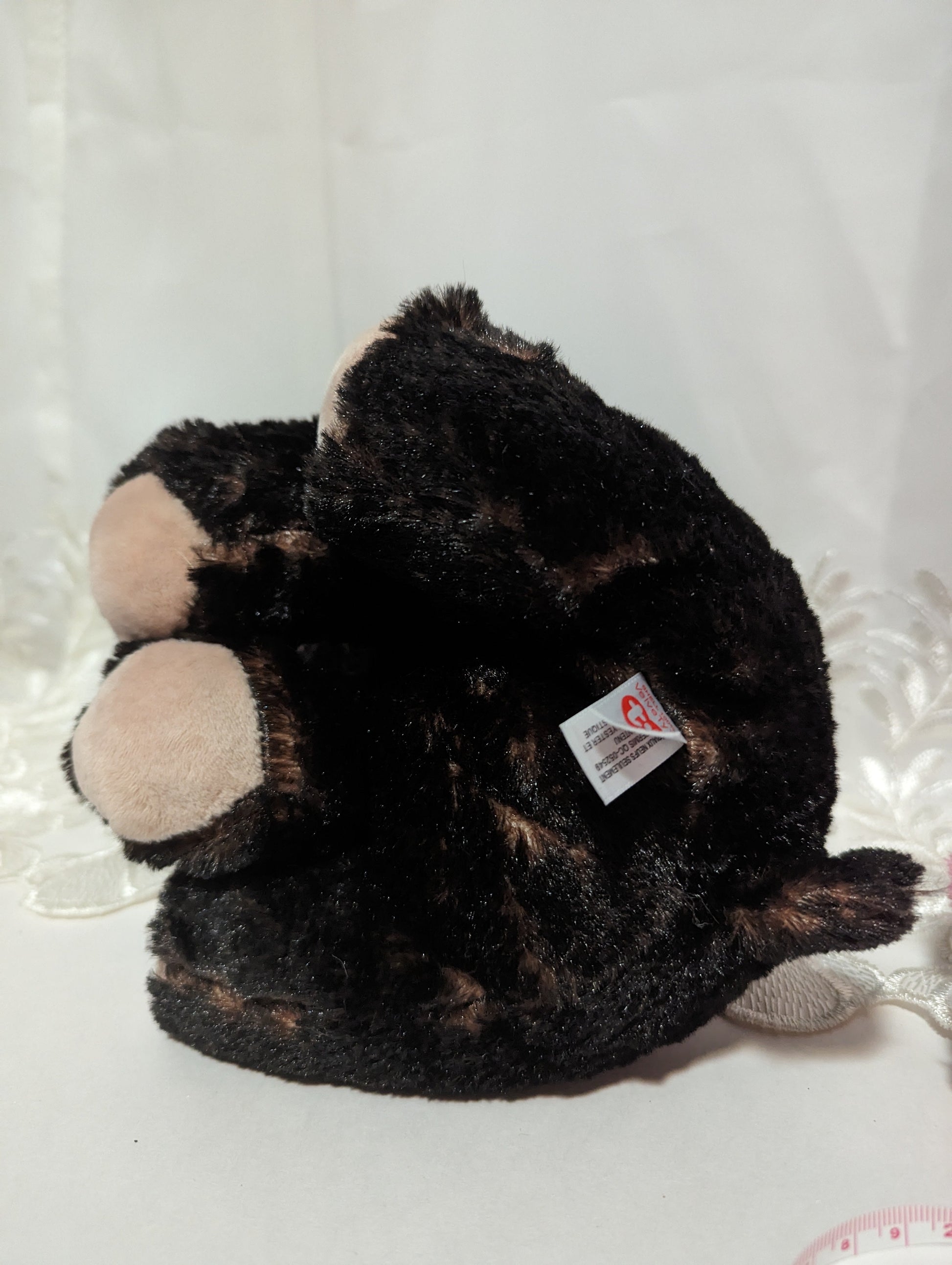Ty Classic - Kodi The Black Bear (9in) - Vintage Beanies Canada