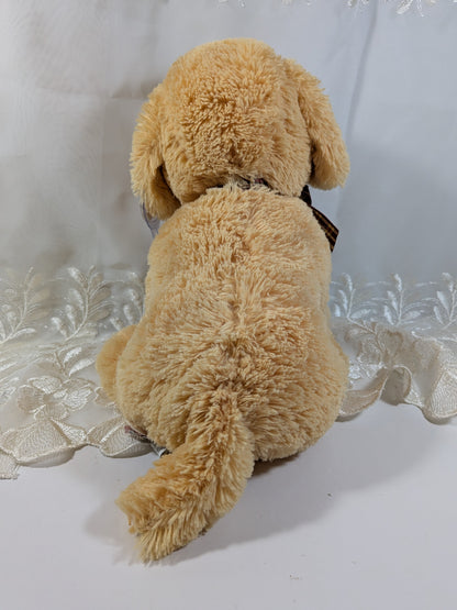 Ty Classics Collection - Goldwyn the Golden Retriever (12 in) Near Mint Tag - Vintage Beanies Canada