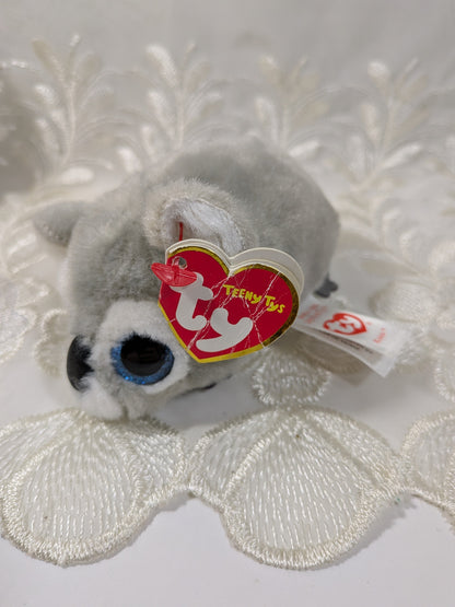 Ty Teeny Tys - Kaleb the Koala (4in) Non - mint Hang tag - Vintage Beanies Canada