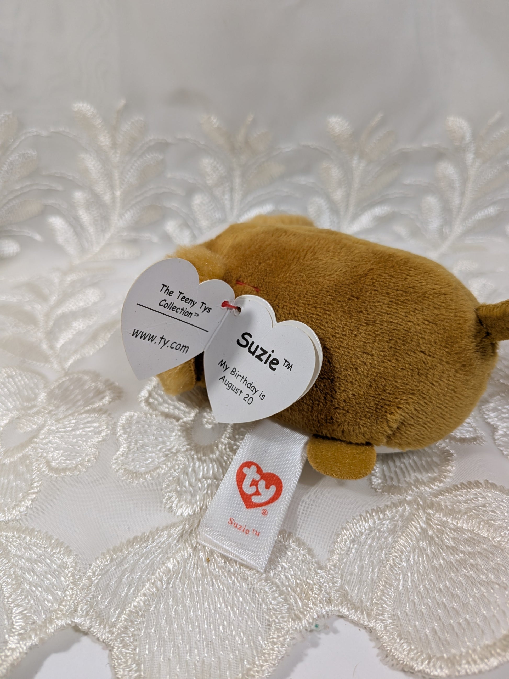 Ty Teeny Ty's - Suzie the dog (4in) Creased Tag - Vintage Beanies Canada