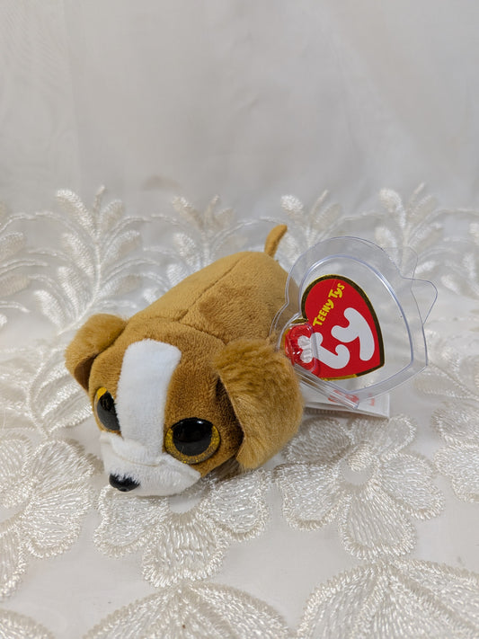 Ty Teeny Ty's - Suzie the dog (4in) Creased Tag - Vintage Beanies Canada