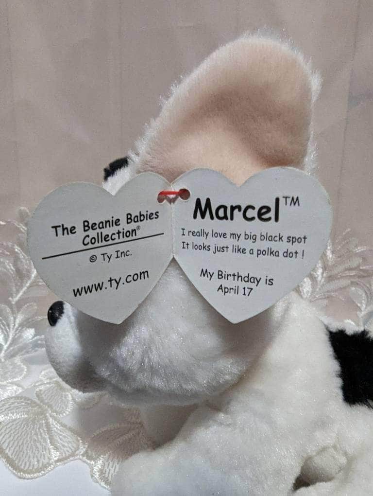 Ty Beanie Baby - Marcel The White French Bulldog / Boston Terrier Dog (6in) - Vintage Beanies Canada