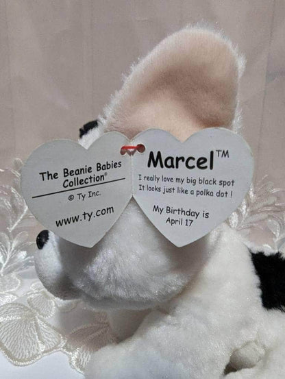 Ty Beanie Baby - Marcel The White French Bulldog / Boston Terrier Dog (6in) - Vintage Beanies Canada