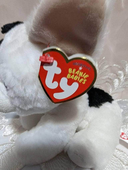 Ty Beanie Baby - Marcel The White French Bulldog / Boston Terrier Dog (6in) - Vintage Beanies Canada