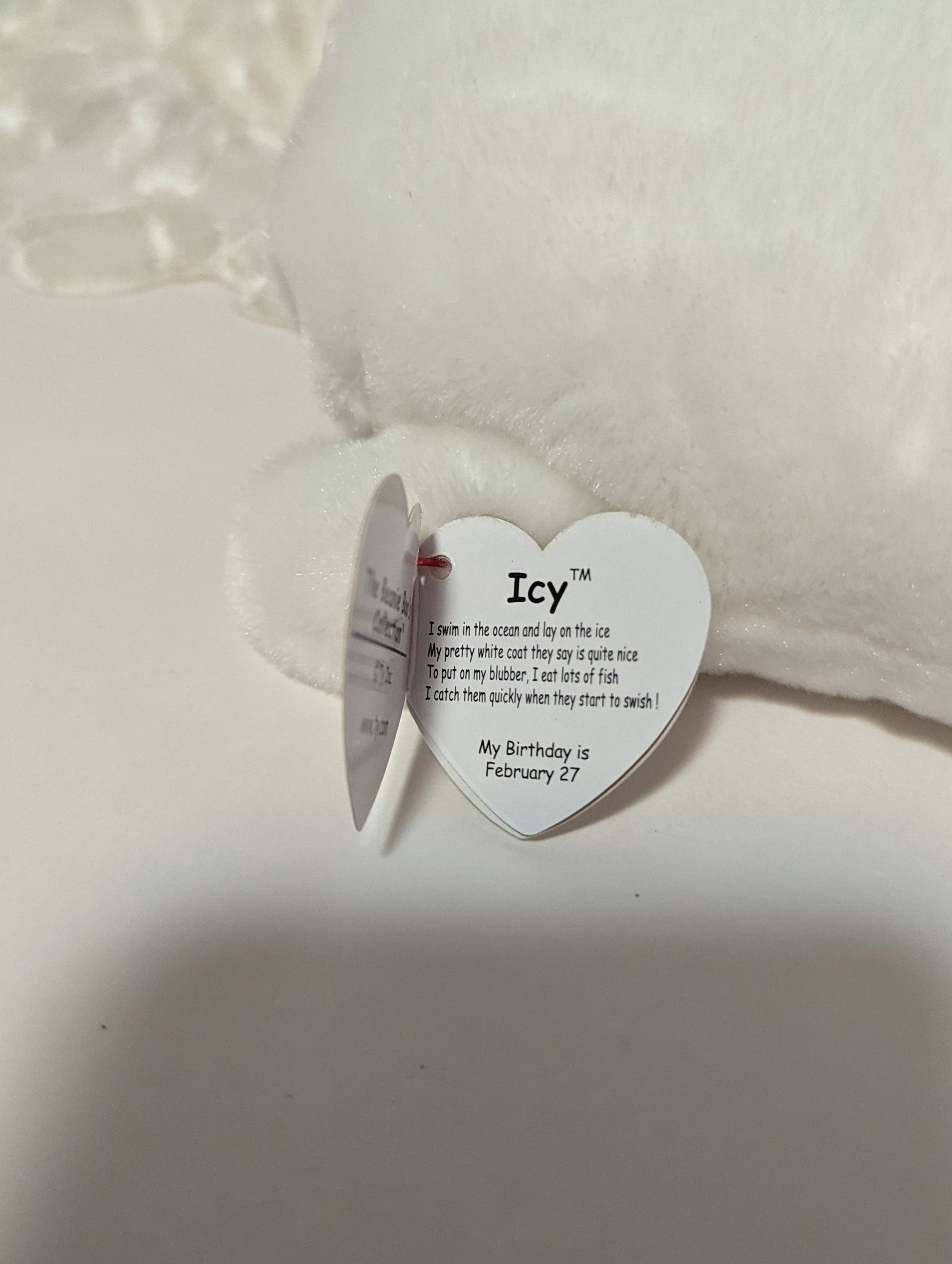 Ty Beanie Boo - Icy The White Seal (6in) - Vintage Beanies Canada